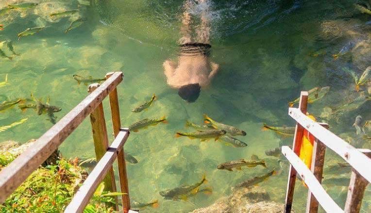 Cachoeiras Rio do Peixe — passeio em Bonito, MS